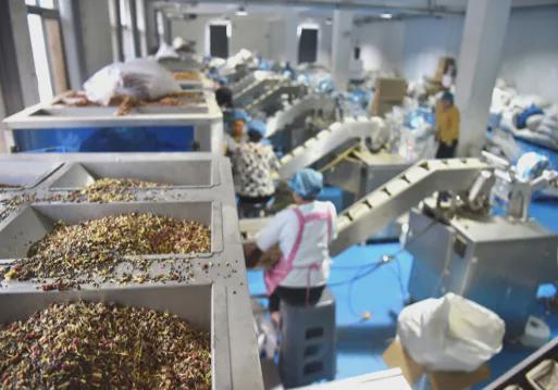 权益保护「新质供给」引领产业升级凯发k8登录vip拼多多加码商家(图3)